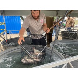 Quase três toneladas de pescados foram comercializadas na Feira do Peixe